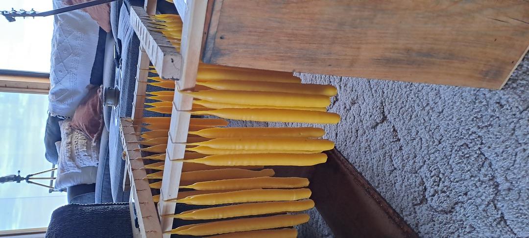 Beeswax Tapers Pairs image 2